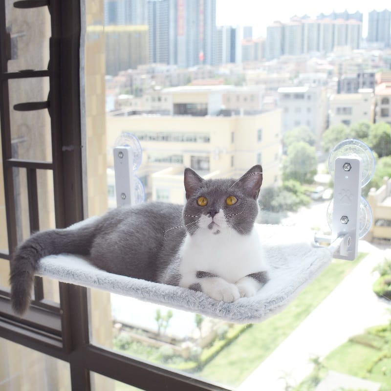 Cat Suction Cup Window Glass Hammock Pet Cat Pets Products - Image 7