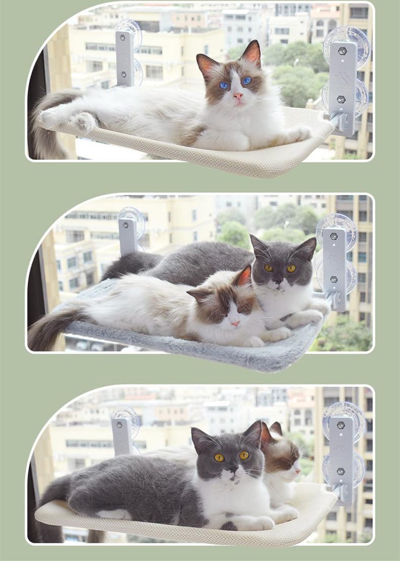 Cat Suction Cup Window Glass Hammock Pet Cat Pets Products - Image 8
