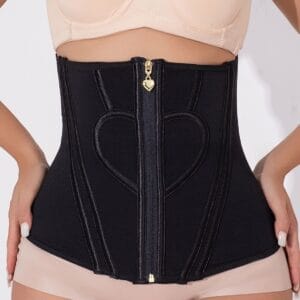 Mesh Heart-patterned 3-row-button Gold-zip Waist Cincher